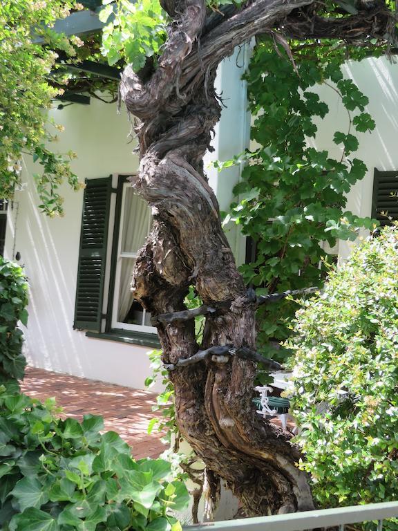 Buiten Verwagten Guest House Graaff-Reinet Kültér fotó